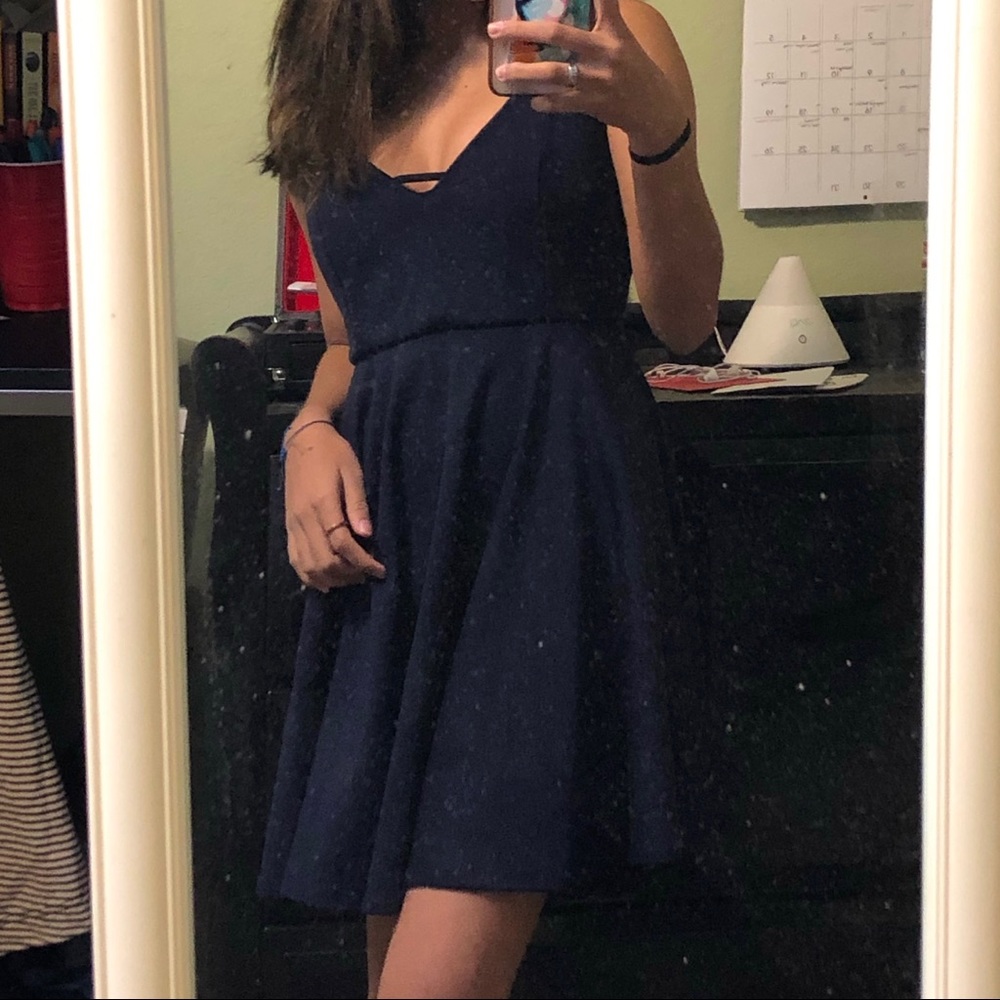 Windsor Skater Dress